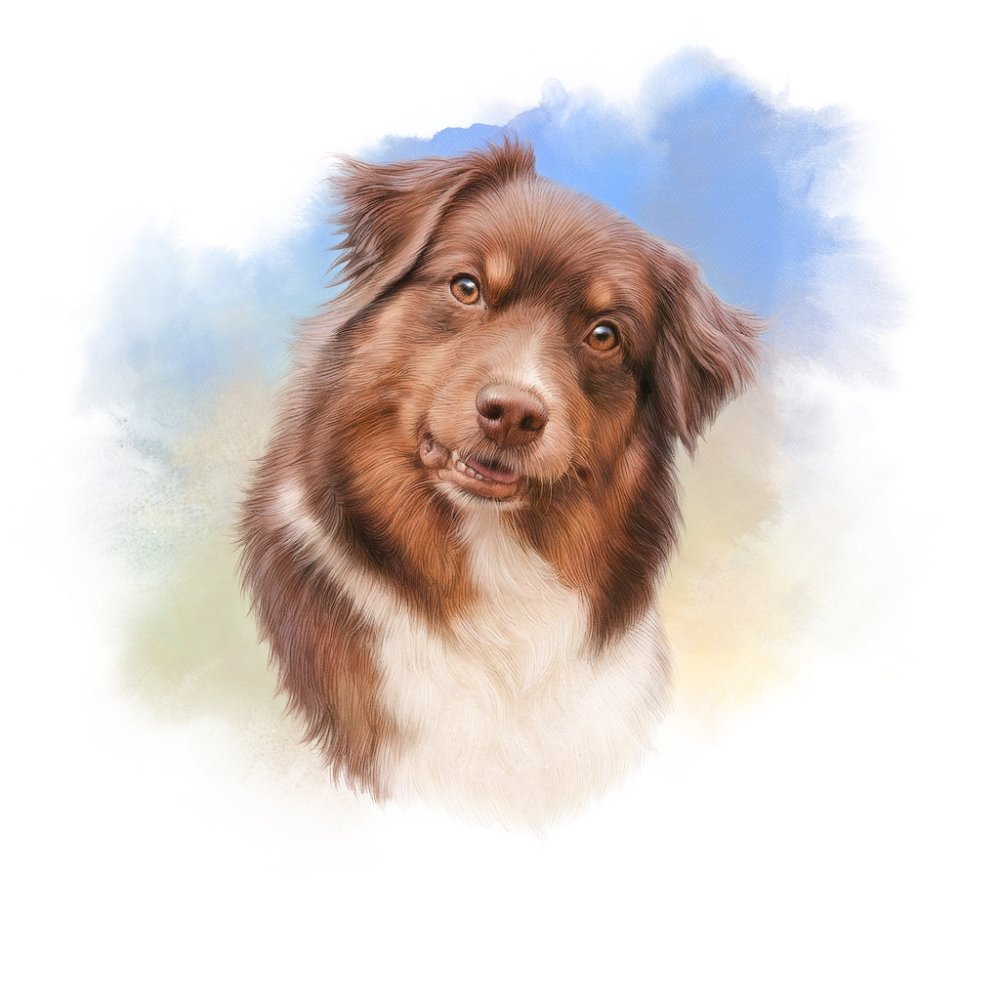 Australian Shepherd Portrait Fabric Panel - Multi