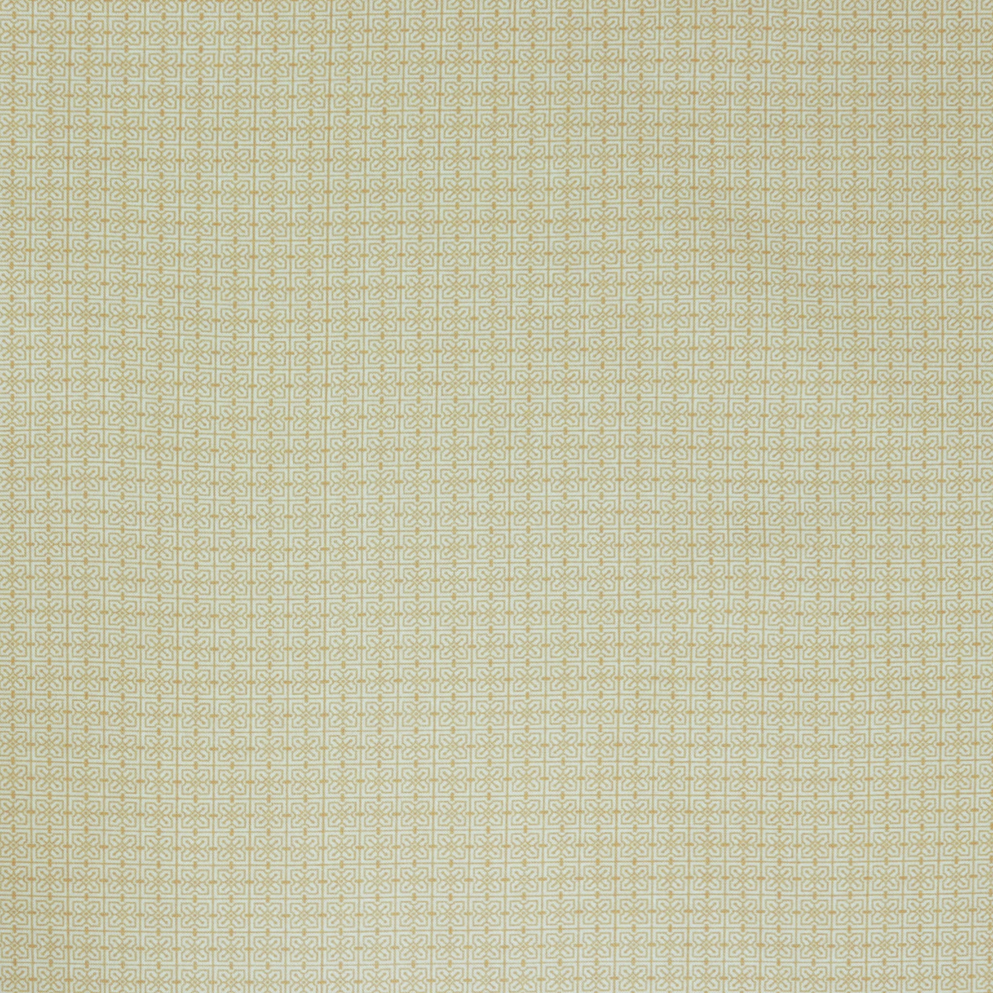 The House Beautiful Fabric Collection - Design C | Cream