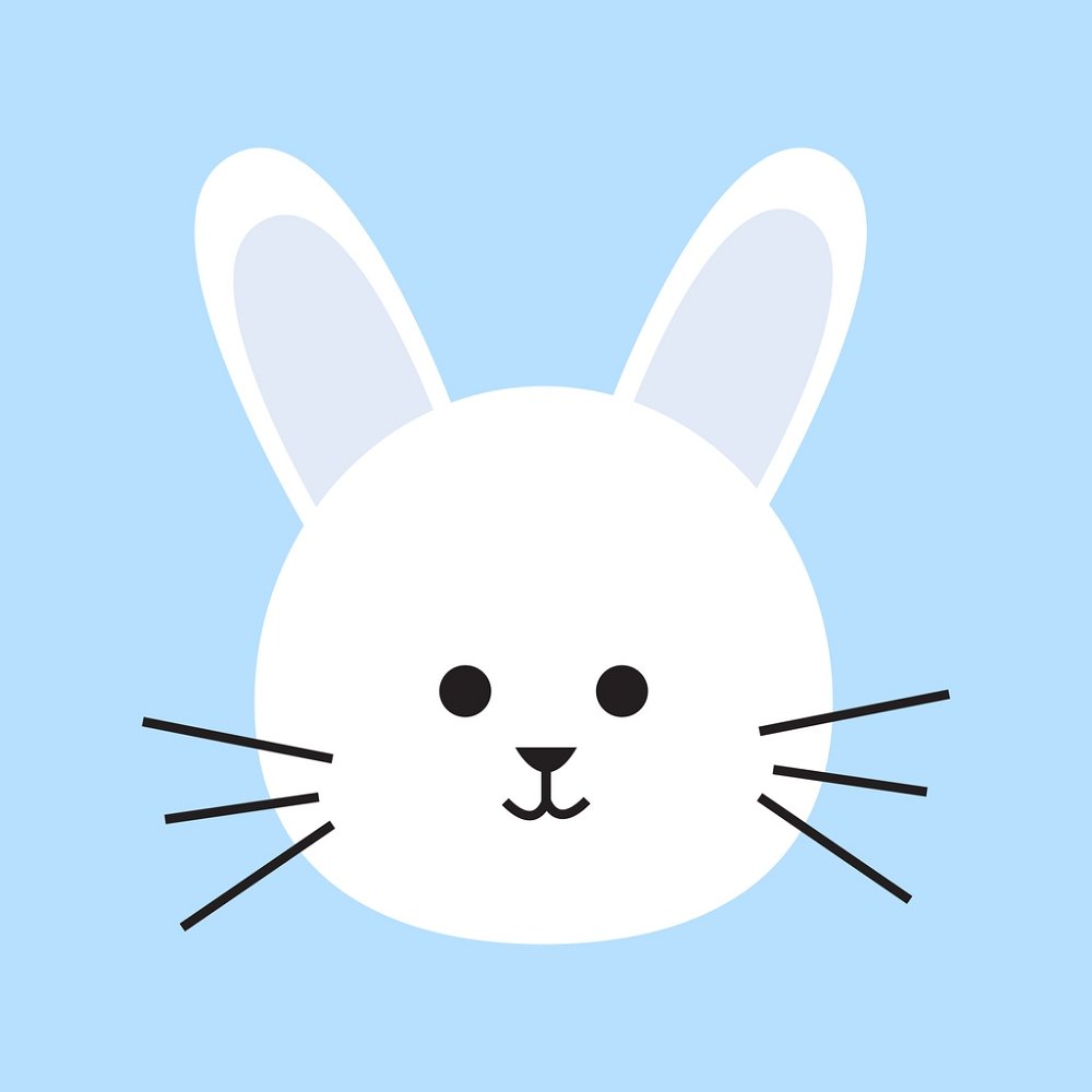 Baby Bunny Face Fabric Panel