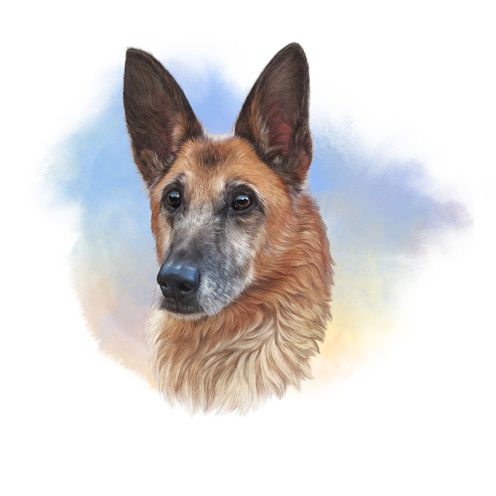 Brown German Shepherd Portrait Fabric Panel