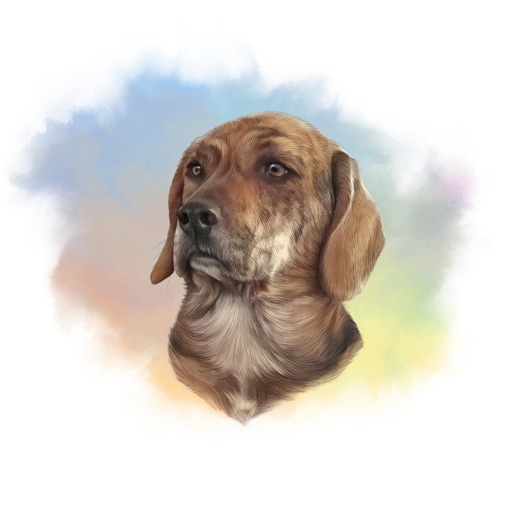 Brown Hunting Dog Portrait Fabric Panel