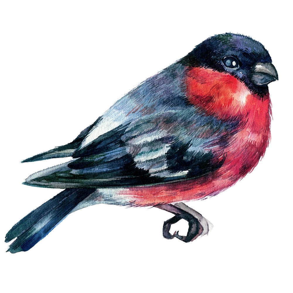 Bullfinch Fabric Panel