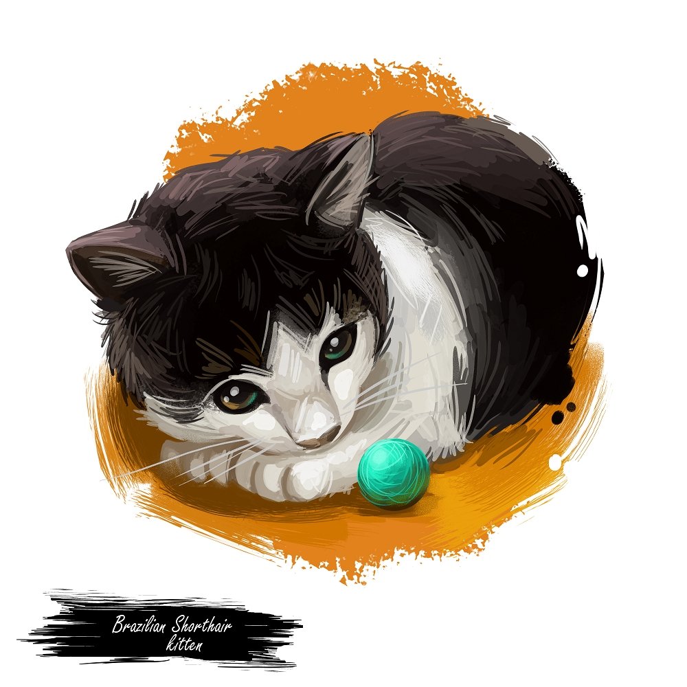 Brazilian Shorthair Kitten Portrait Fabric Panel