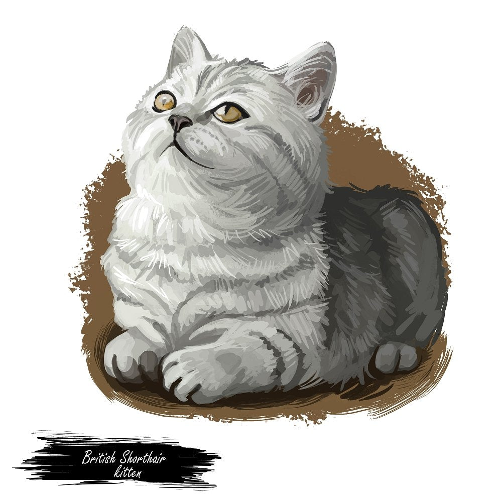 British Shorthair Kitten Portrait Fabric Panel