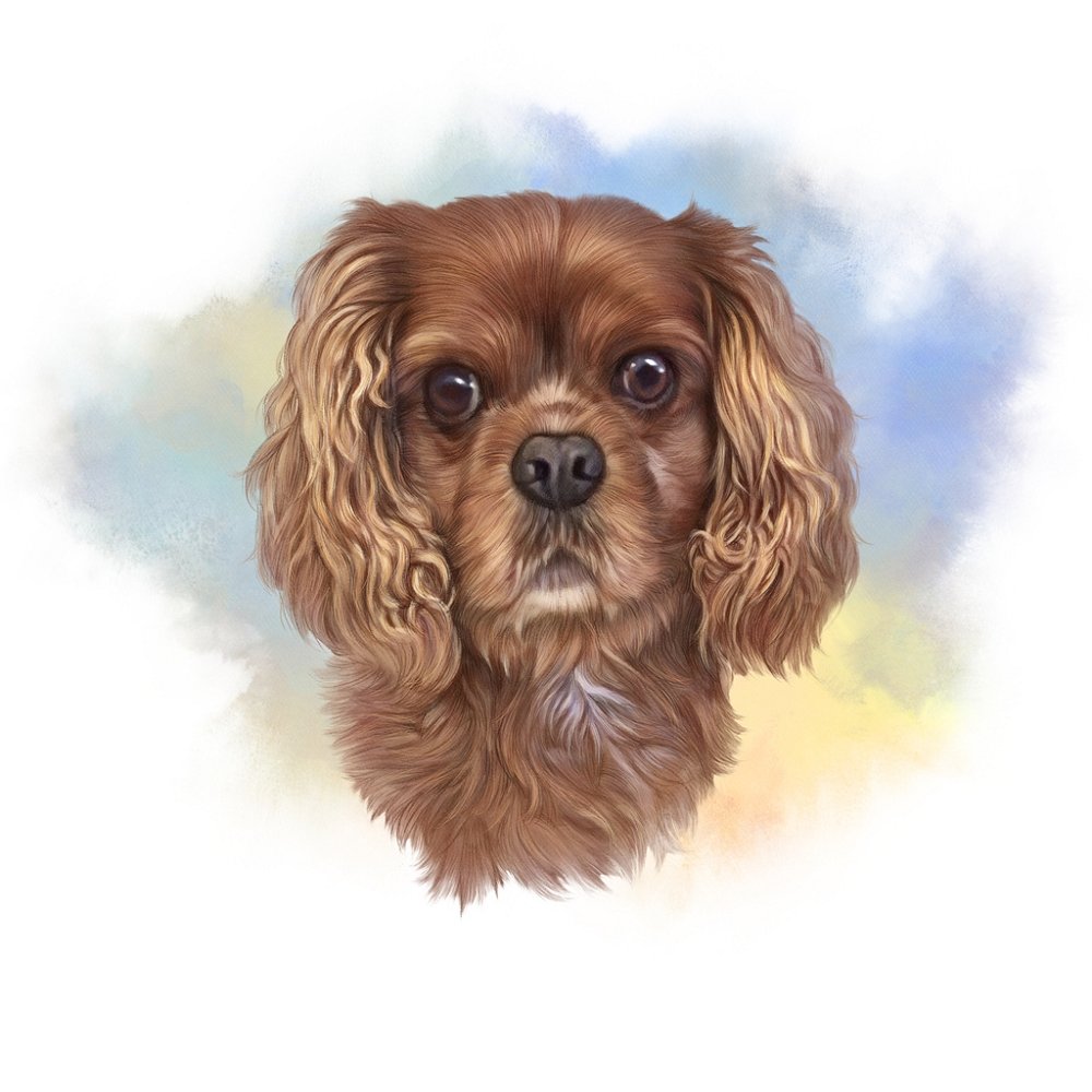 Brown Cocker Spaniel Portrait Fabric Panel