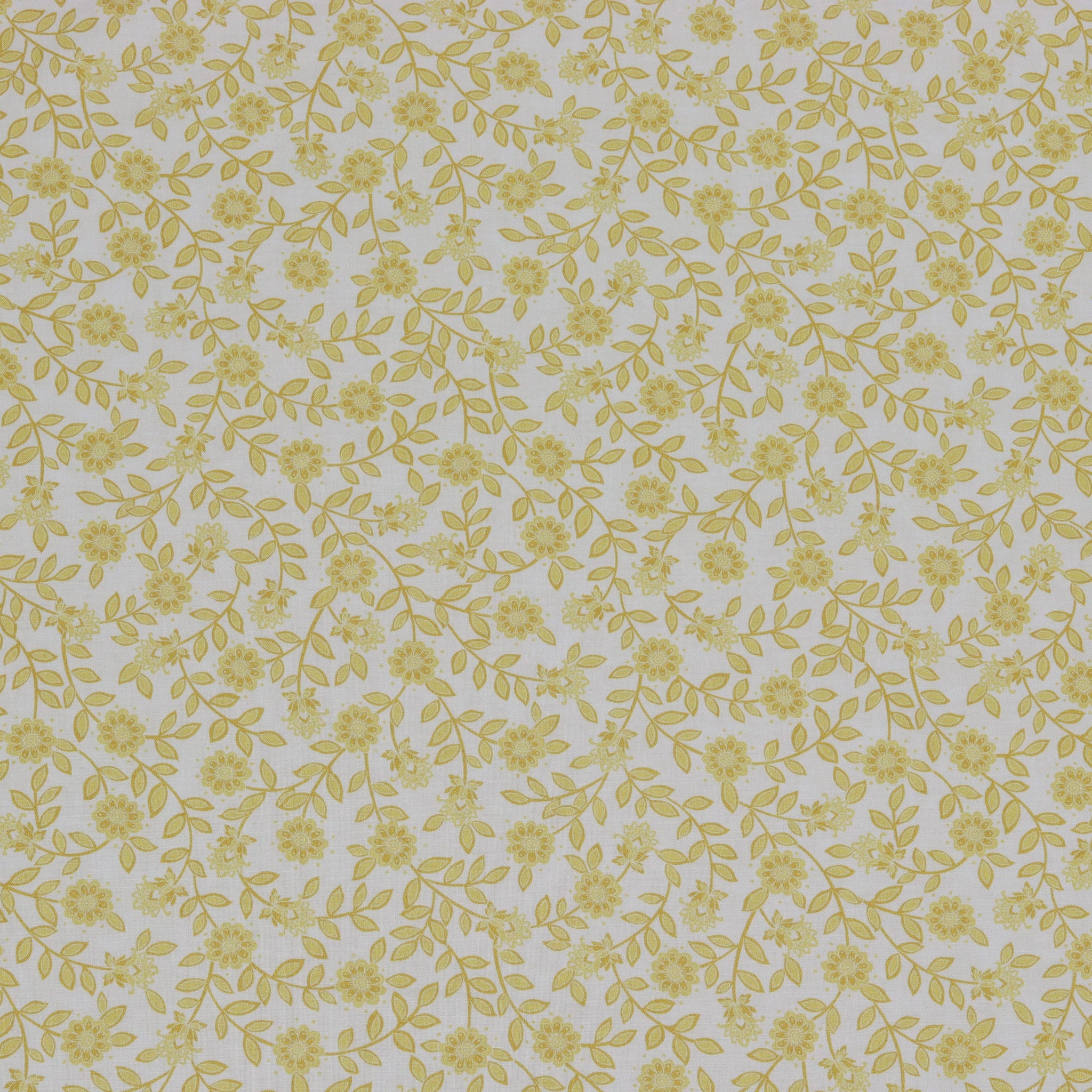 Backings & Basics 108" Wide Quilt Backing Fabric Collection - Field Floral Honey