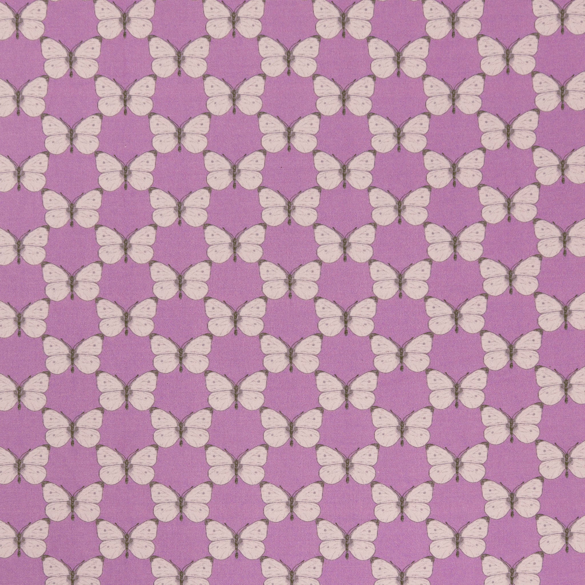 Bee Haven Fabric Collection - Cabbage Butterfly Medium Petal