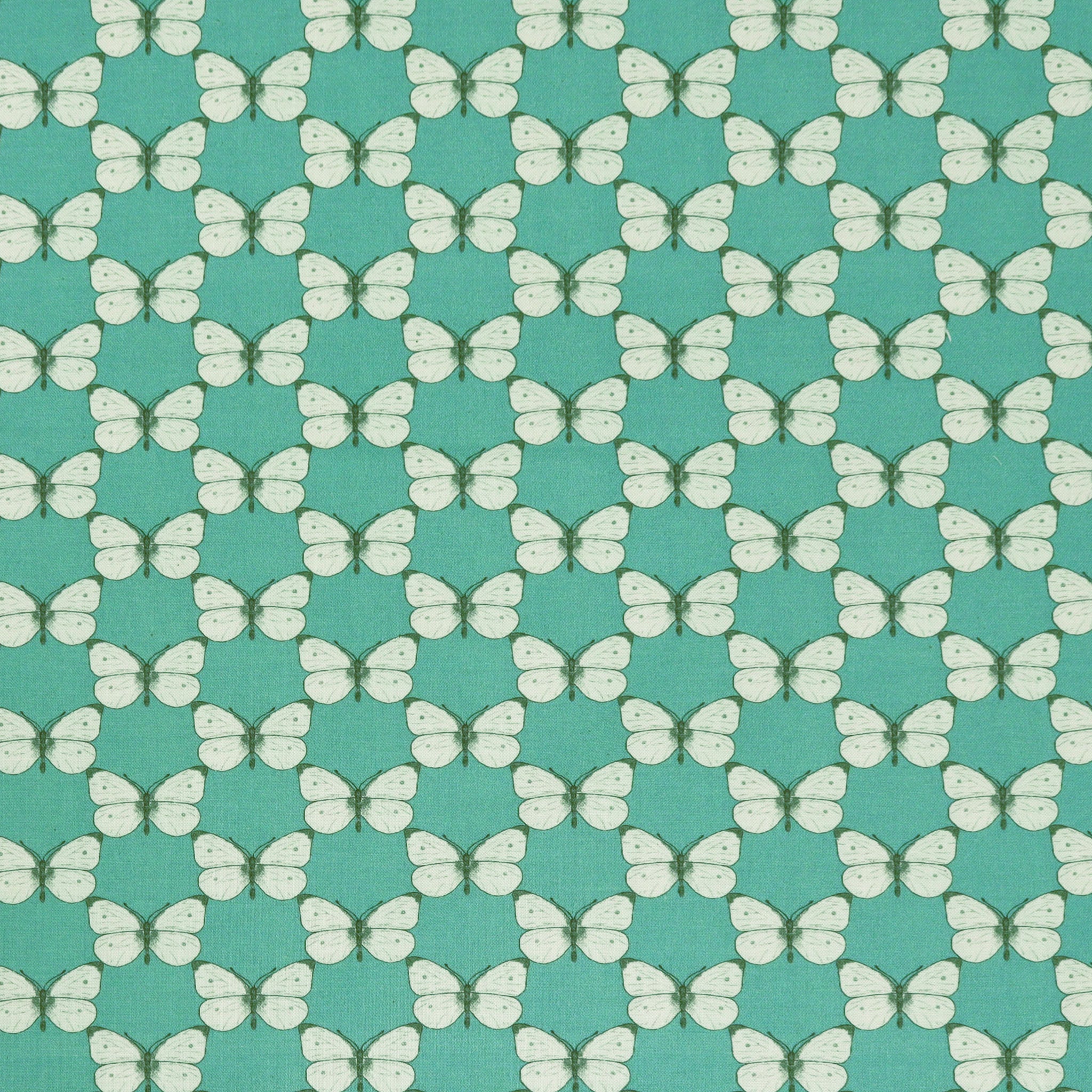 Bee Haven Fabric Collection - Cabbage Butterfly Medium Teal