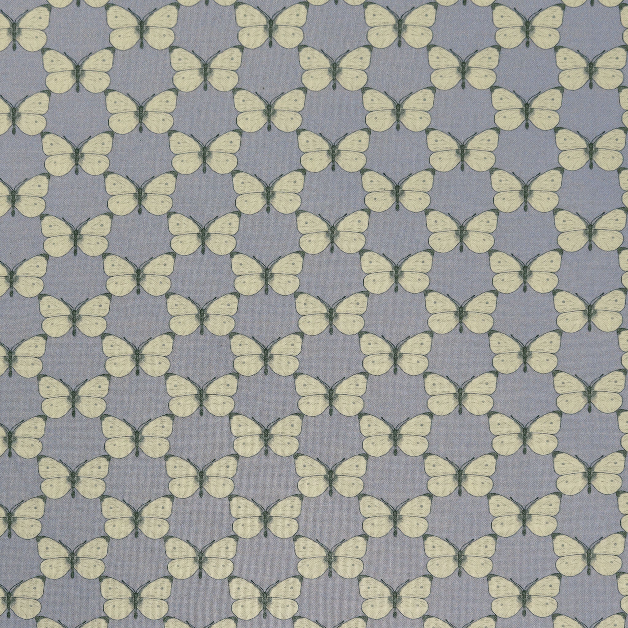 Bee Haven Fabric Collection - Cabbage Butterfly Medium Twilight