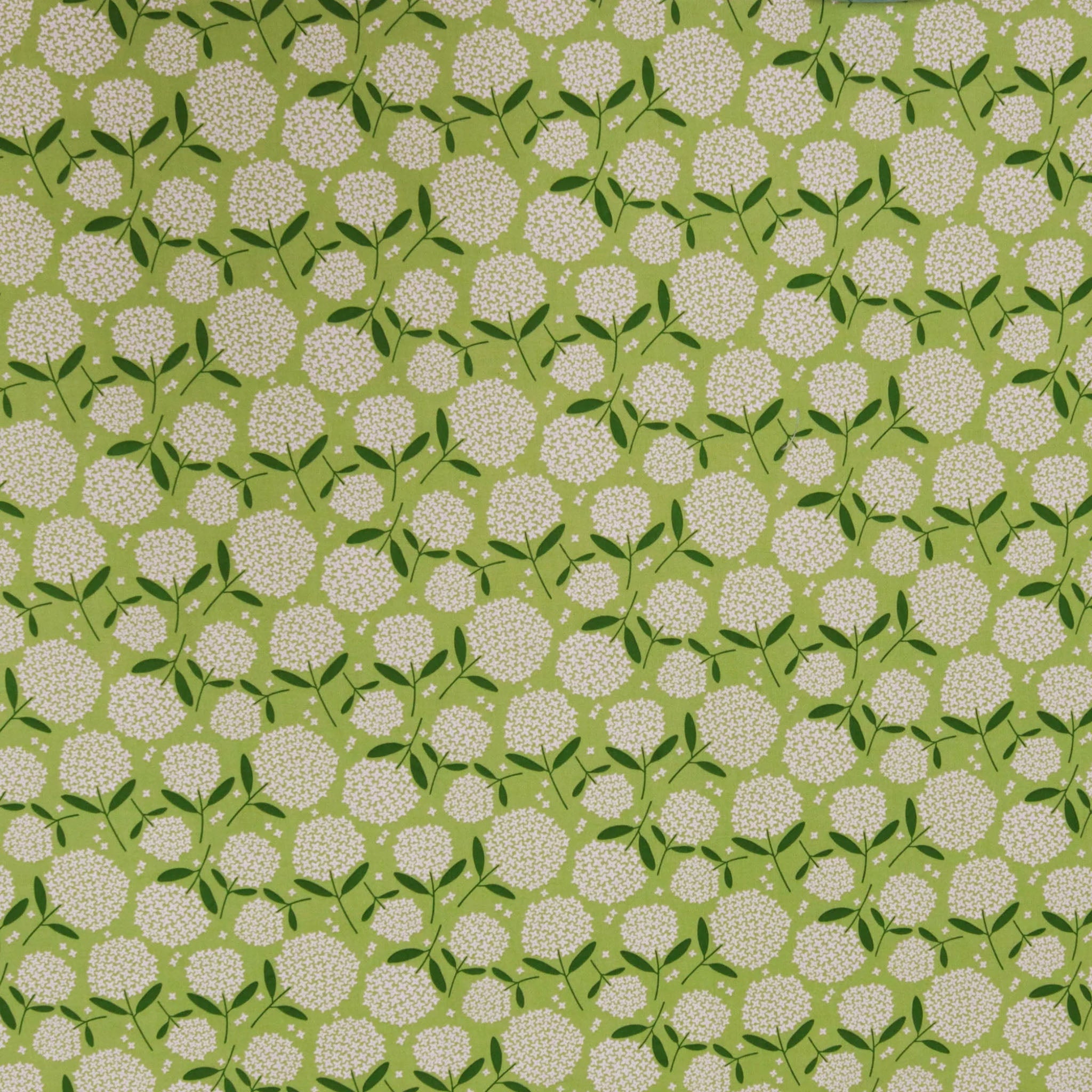 Blooming Color 108" Quilt Backing Fiori Fabric Collection - Medium Lime
