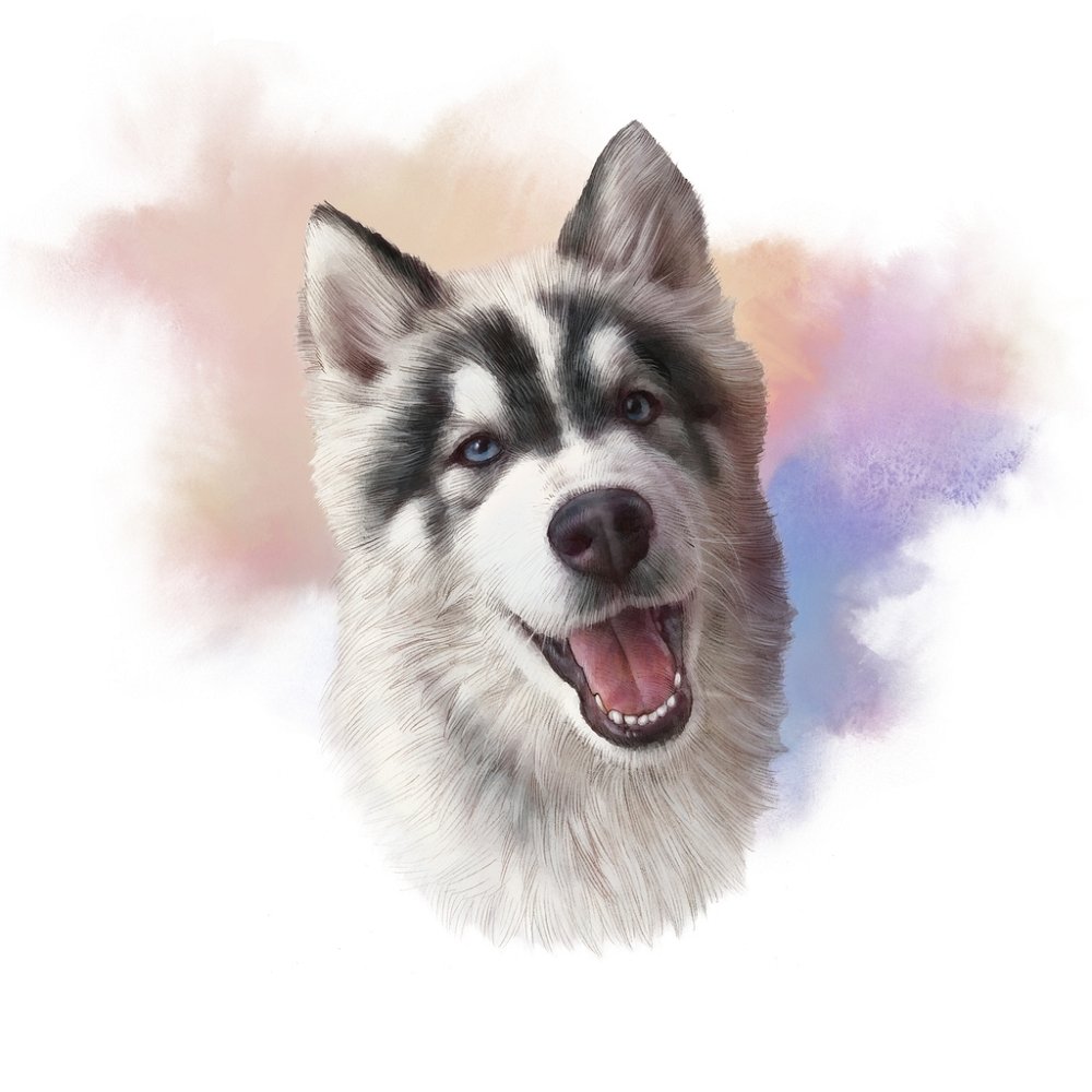 Blue-Eyed Siberian Husky Portrait Fabric Panel