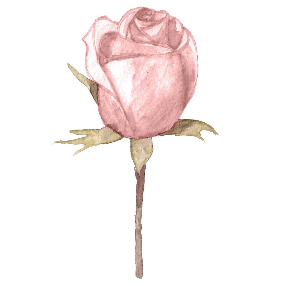 Blush Rose Boutonniere Fabric Panel