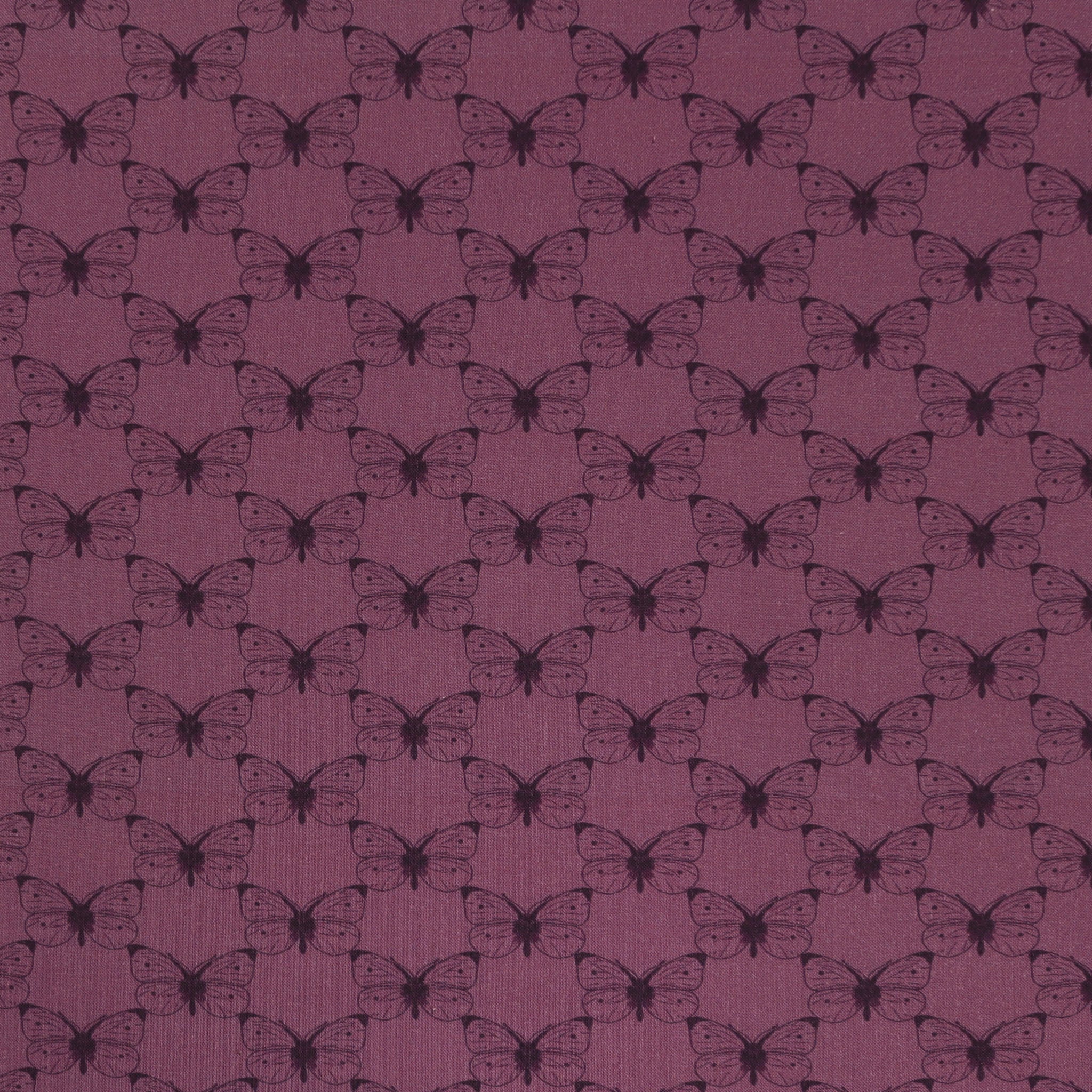 Bee Haven Fabric Collection - Etched Cabbage Butterfly Plum