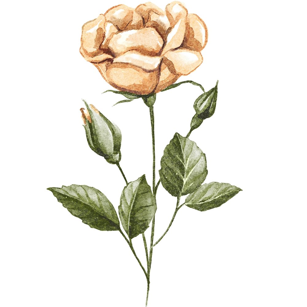 Bloomed & Unbloomed Vintage Rose Fabric Panel