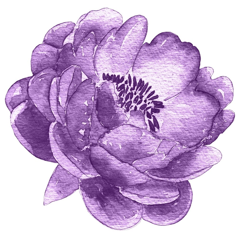 Blooming Purple Magnolia Flower Fabric Panel