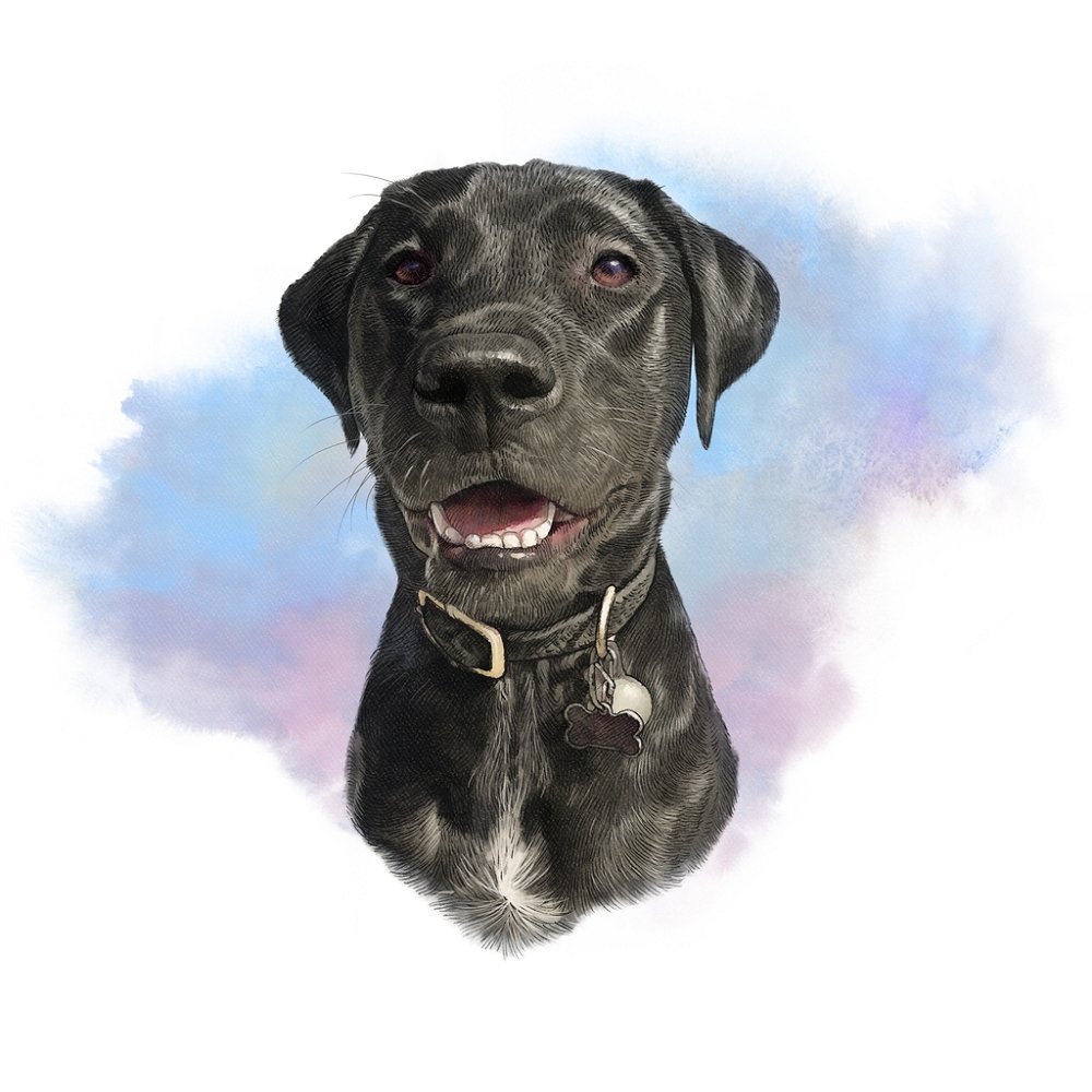 Black Labrador Retriever Portrait Fabric Panel