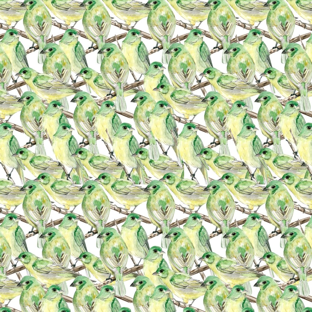 Birds Fabric - Green