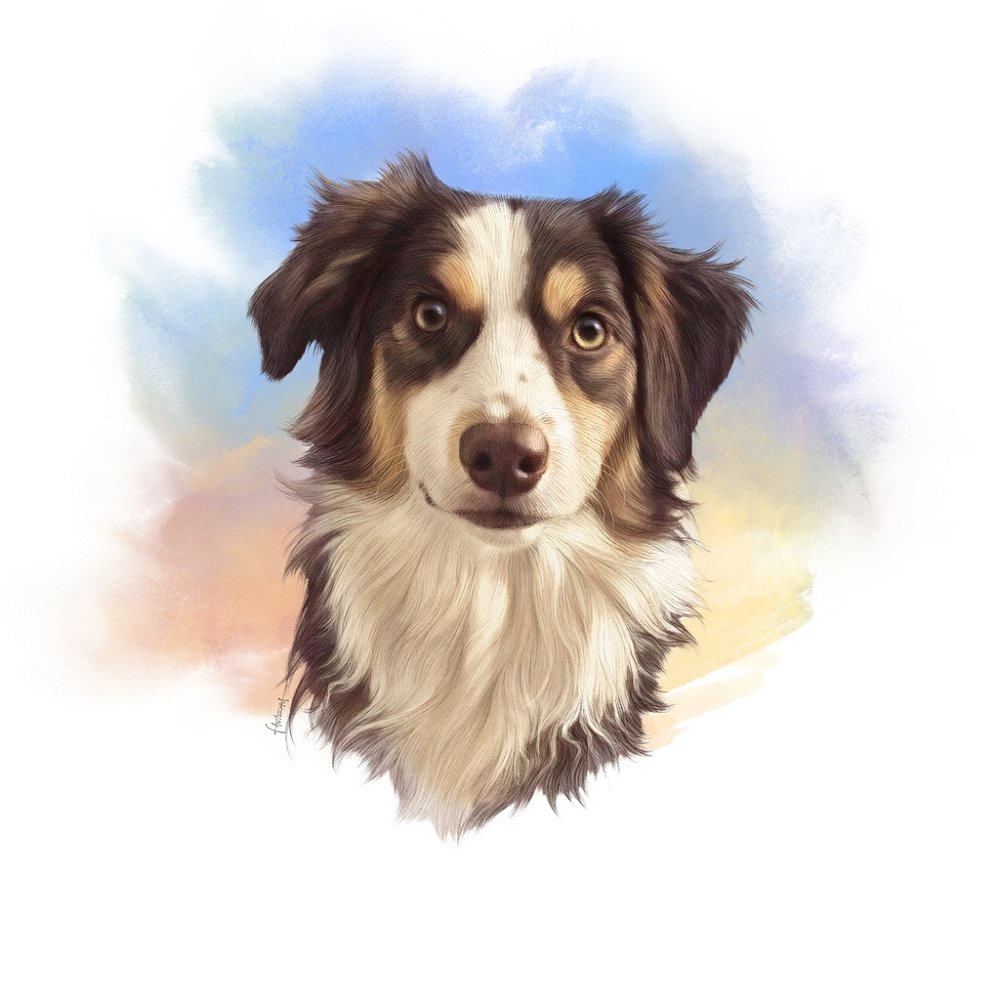 Black & Tan Australian Shepherd Portrait Fabric Panel