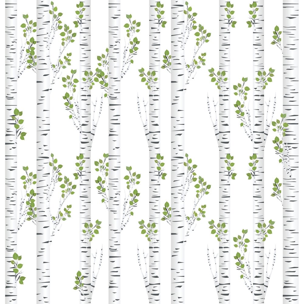 Birch Trees Fabric