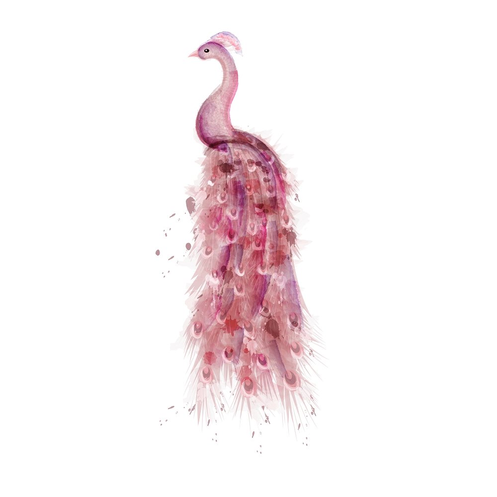 Beautiful Peacock Fabric Panel - Pink