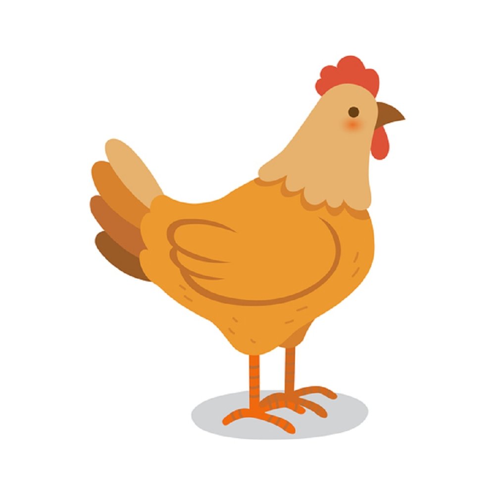 Basic Chicken Fabric Panel - White