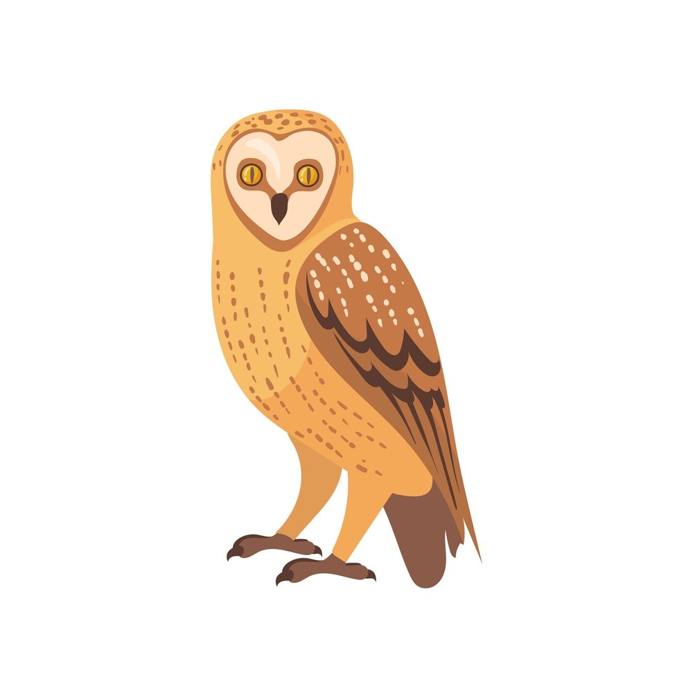 Barn Owl Fabric Panel