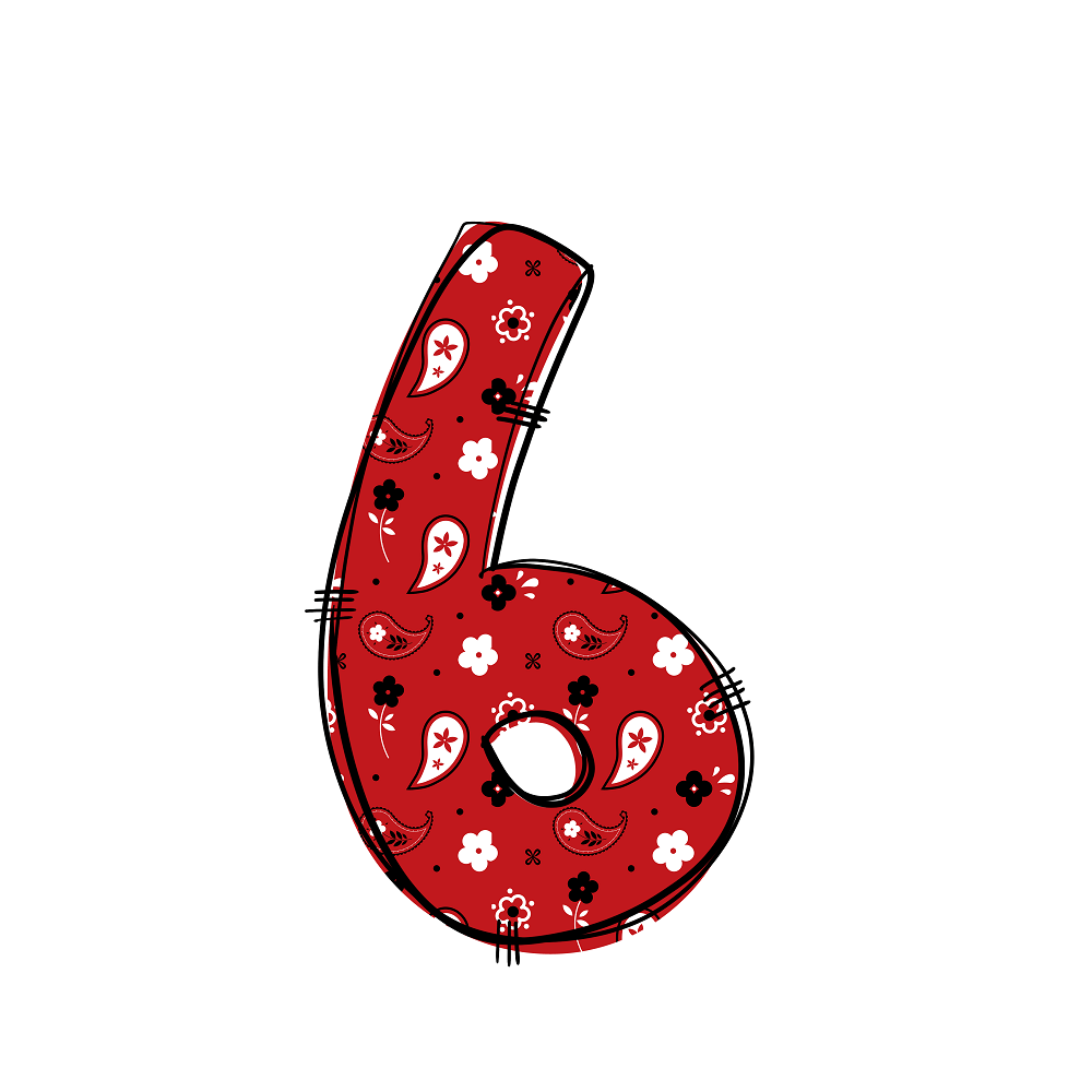 Western Cowboy ''6'' Paisley Fabric Panel