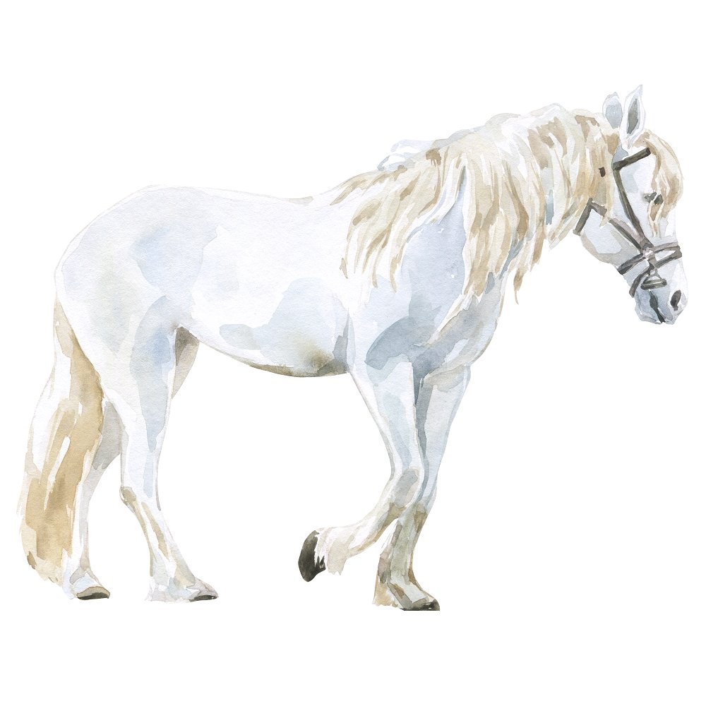 Watercolor White Horse Fabric Panel