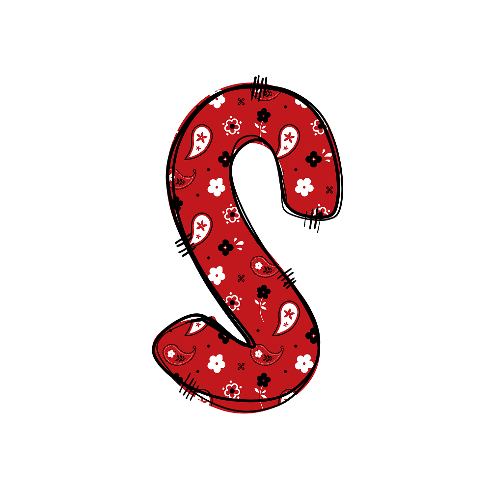 Western Cowboy ''S'' Paisley Fabric Panel