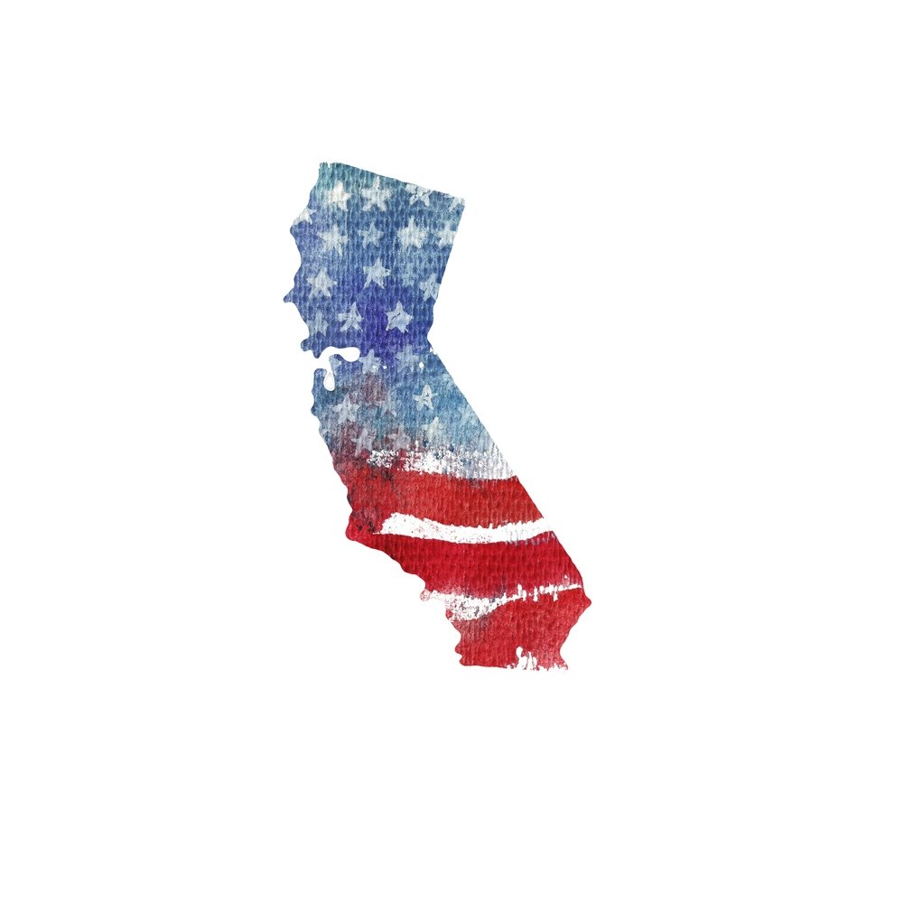 Watercolor Textured Flag Fabric Panel - California