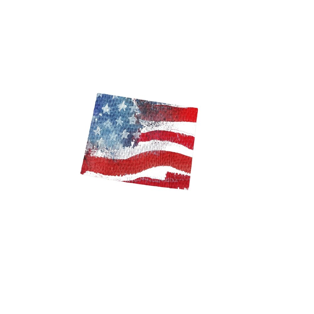 Watercolor Textured Flag Fabric Panel - Wyoming