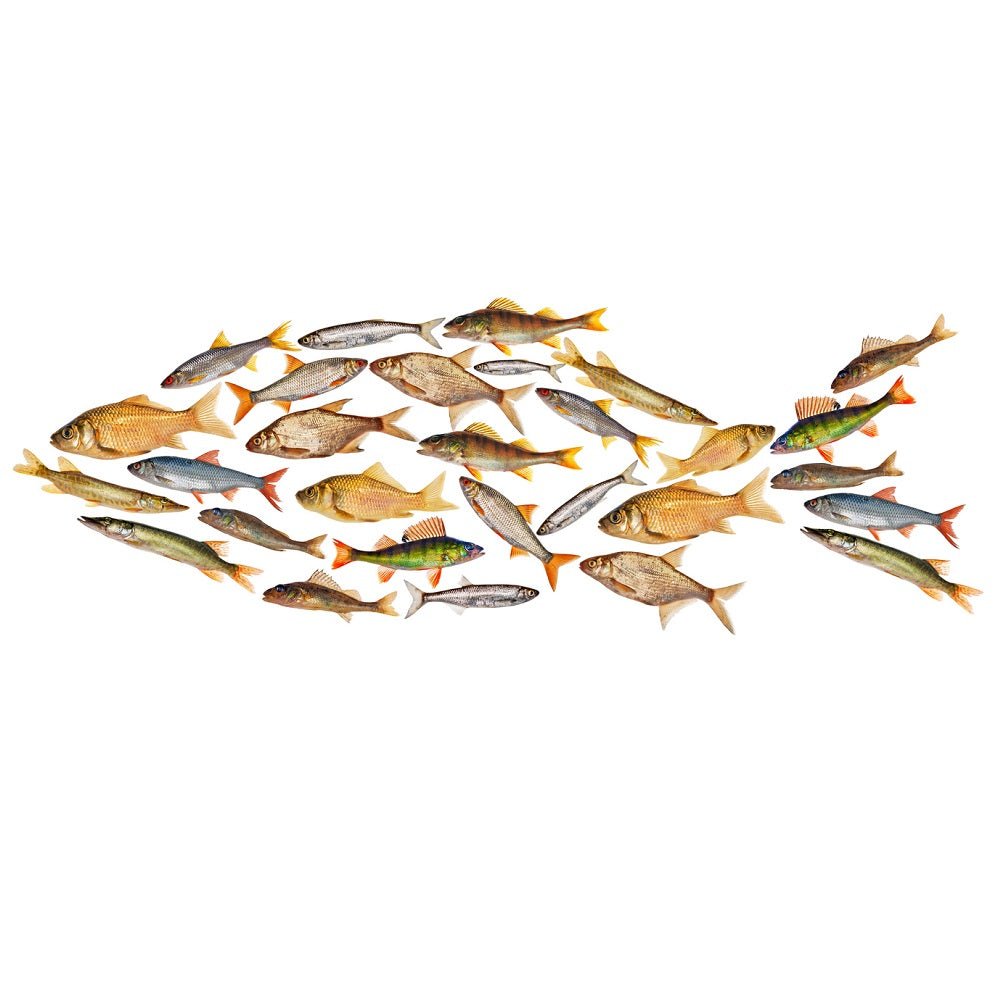 Composite Freshwater Fish Fabric Panel