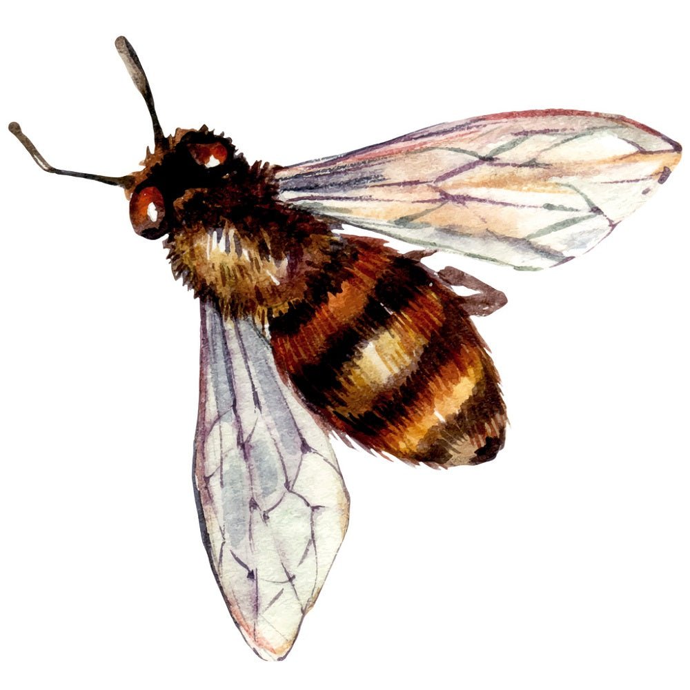 Watercolor Honey Bee Illustration #1 Fabric Panel