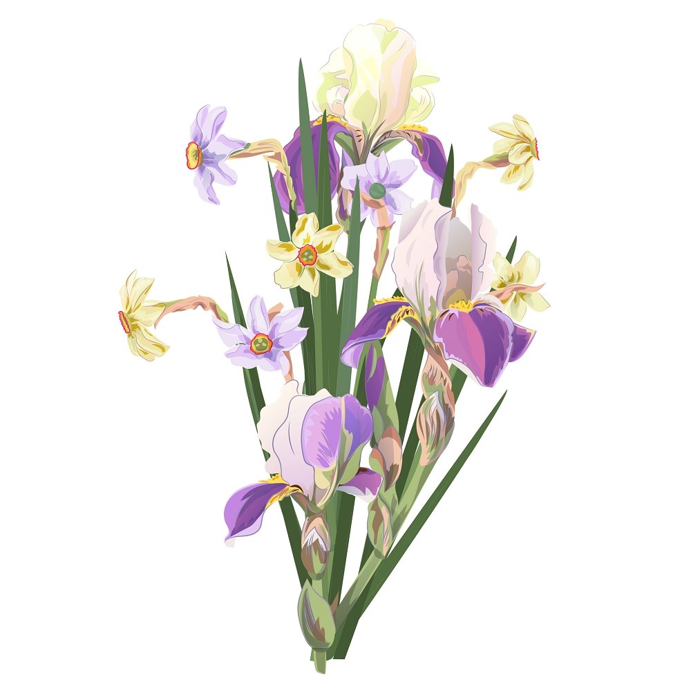 Watercolor Iris Bouquet Fabric Panel - Multi