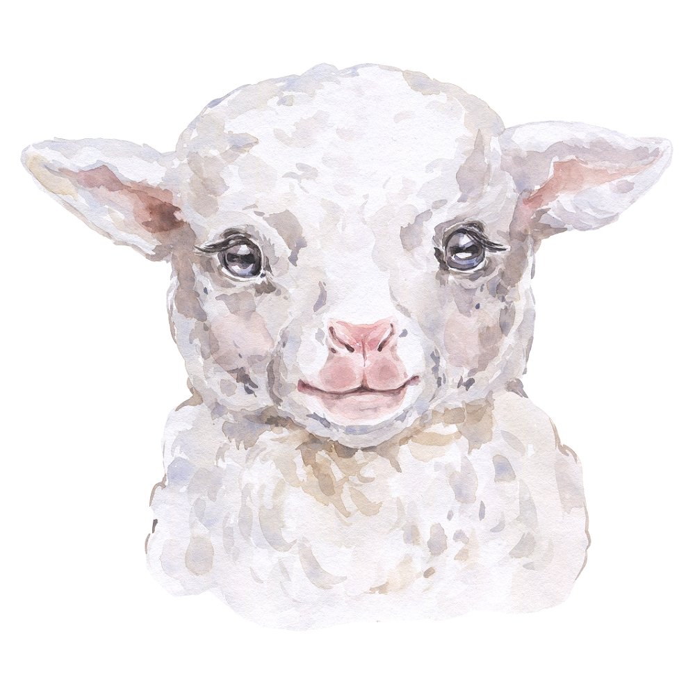 Watercolor Lamb Fabric Panel