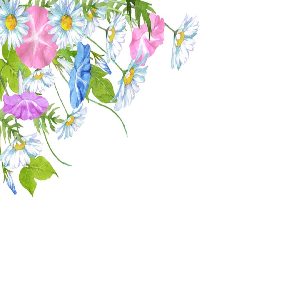 Watercolor Floral, Morning Glory With Daises Fabric Panel - White