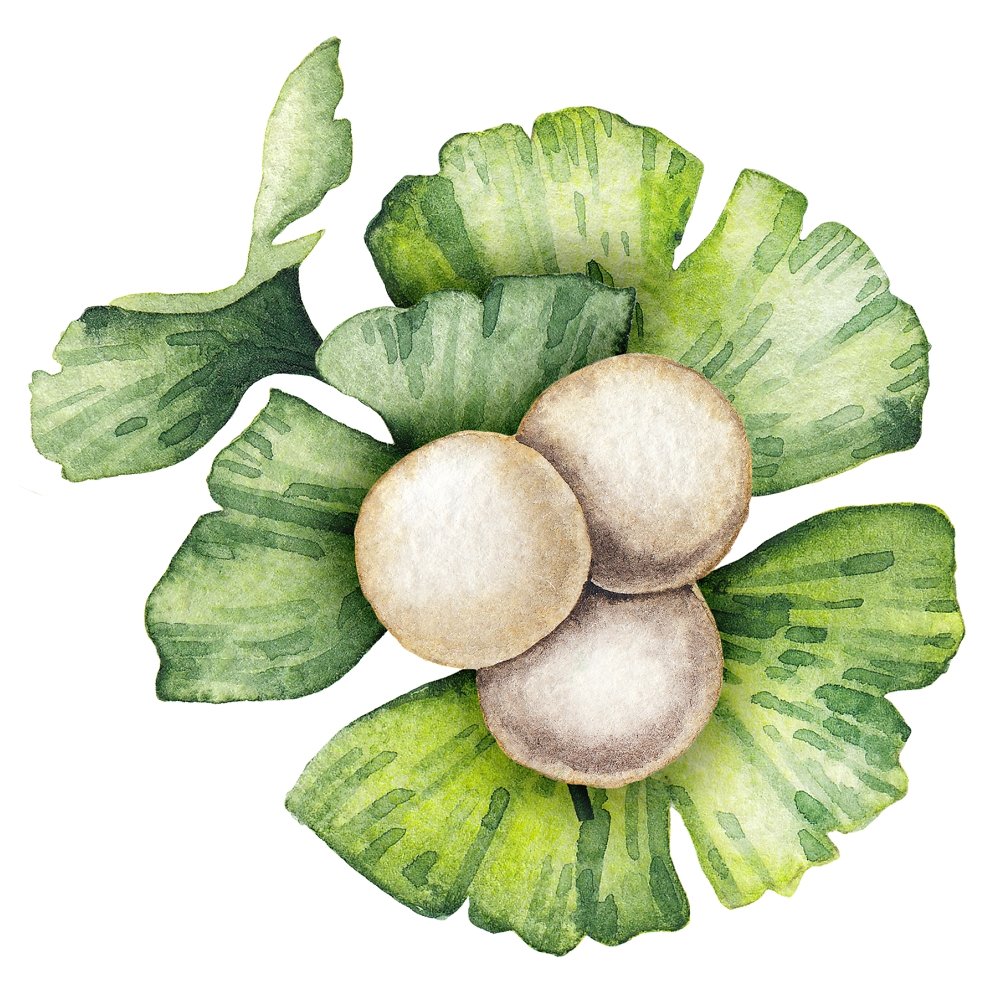 Watercolor Ginkgo Biloba Style #4 Fabric Panel