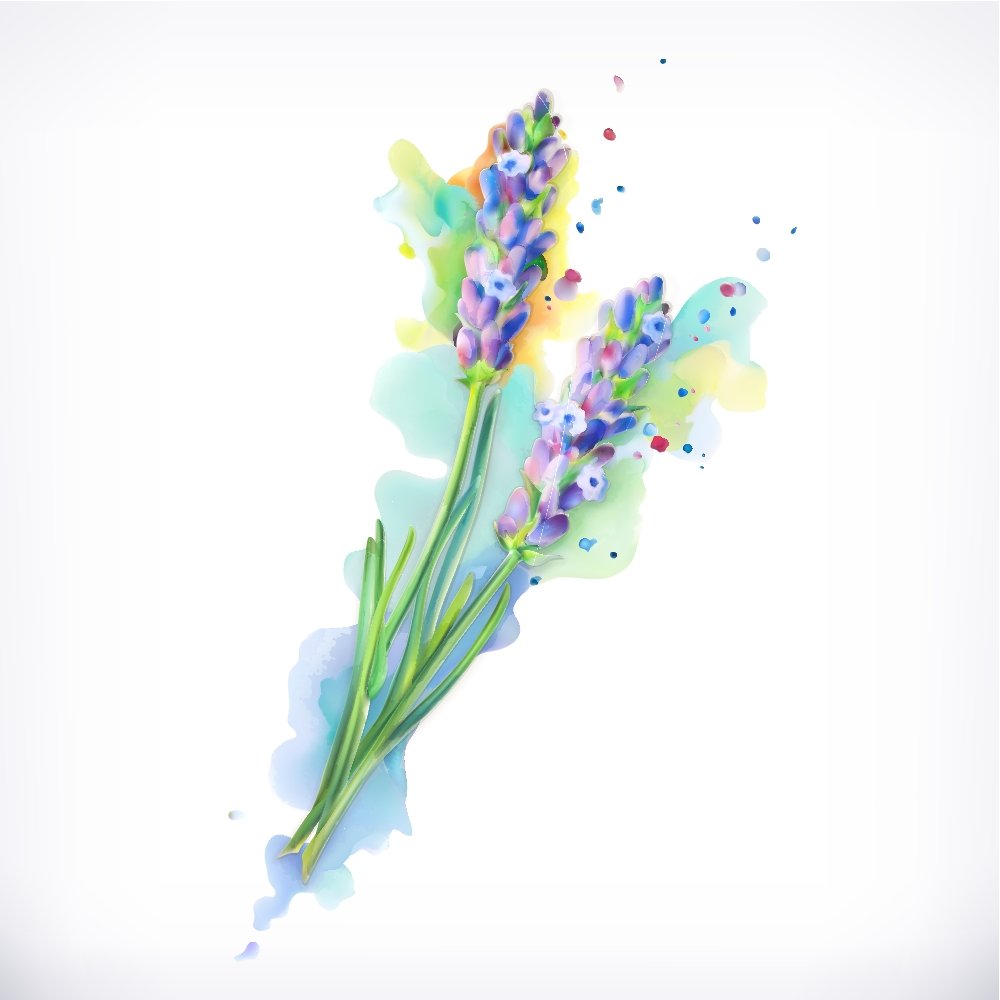 Colorful Watercolor Splash Lavender Flowers Fabric Panel