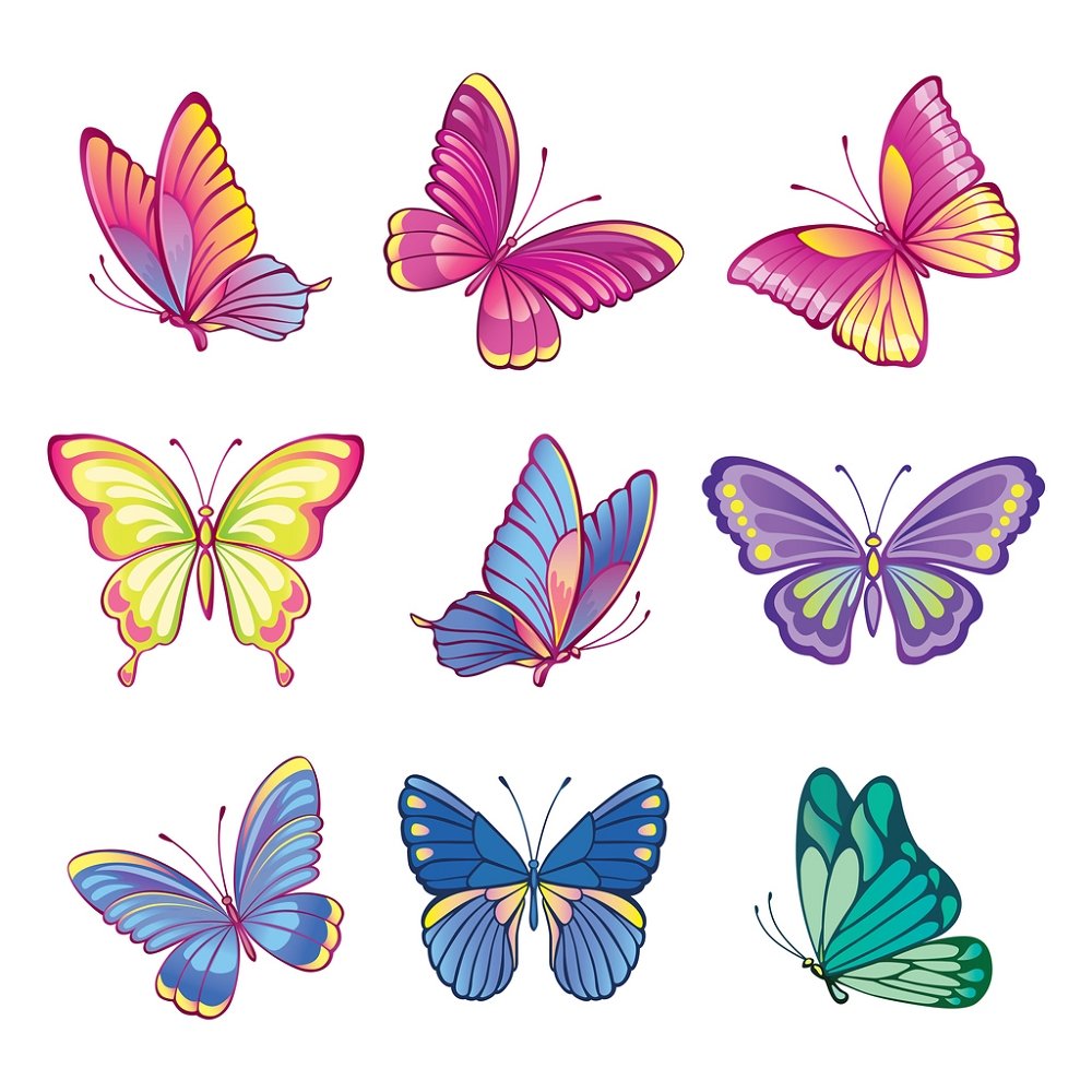 Colorful Collection Of Butterflies Fabric Panel - Multi