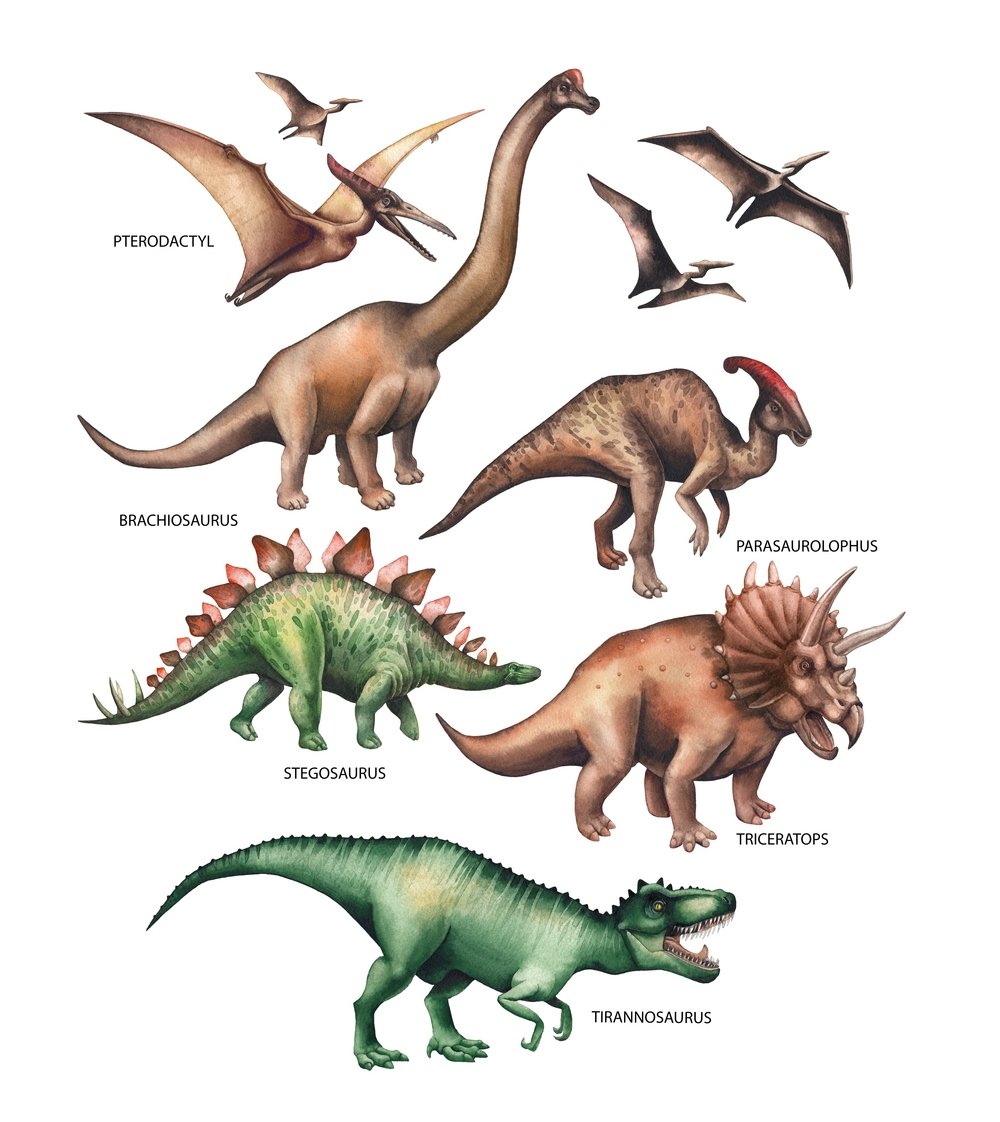 Watercolor Dinosaur Collection Fabric Panel - White