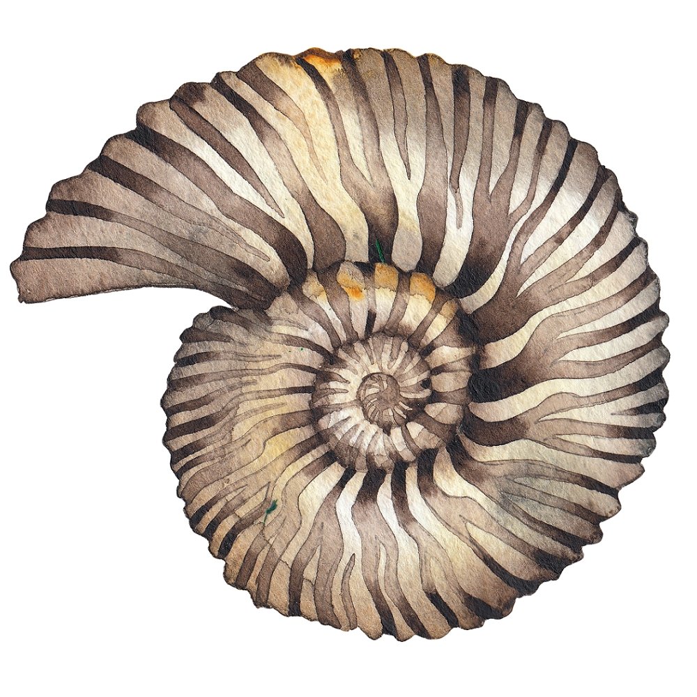 Watercolor Dinosaur Fossil Fabric Panel