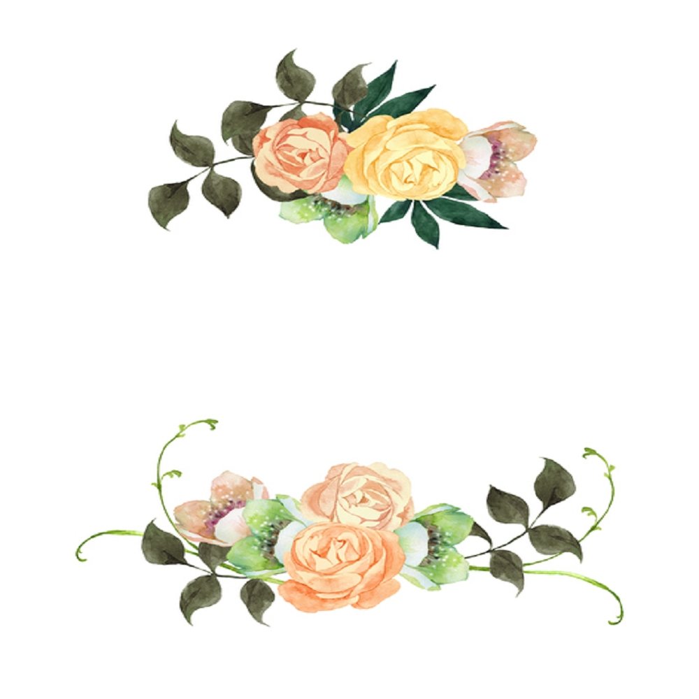 Watercolor Floral, Christmas Rose Fabric Panel - White