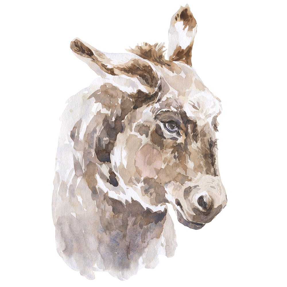 Watercolor Colt Fabric Panel