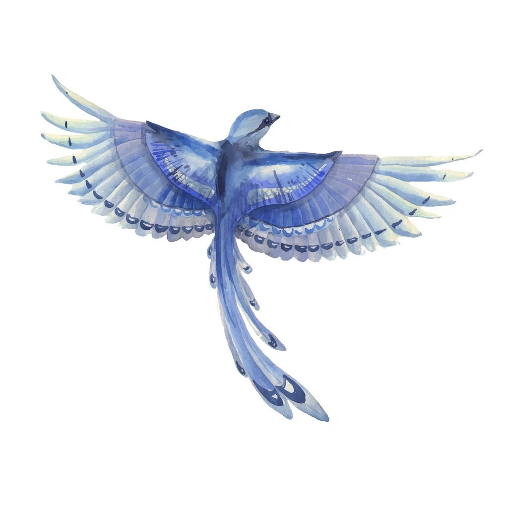 Watercolor Blue Jay Bird Fabric Panel
