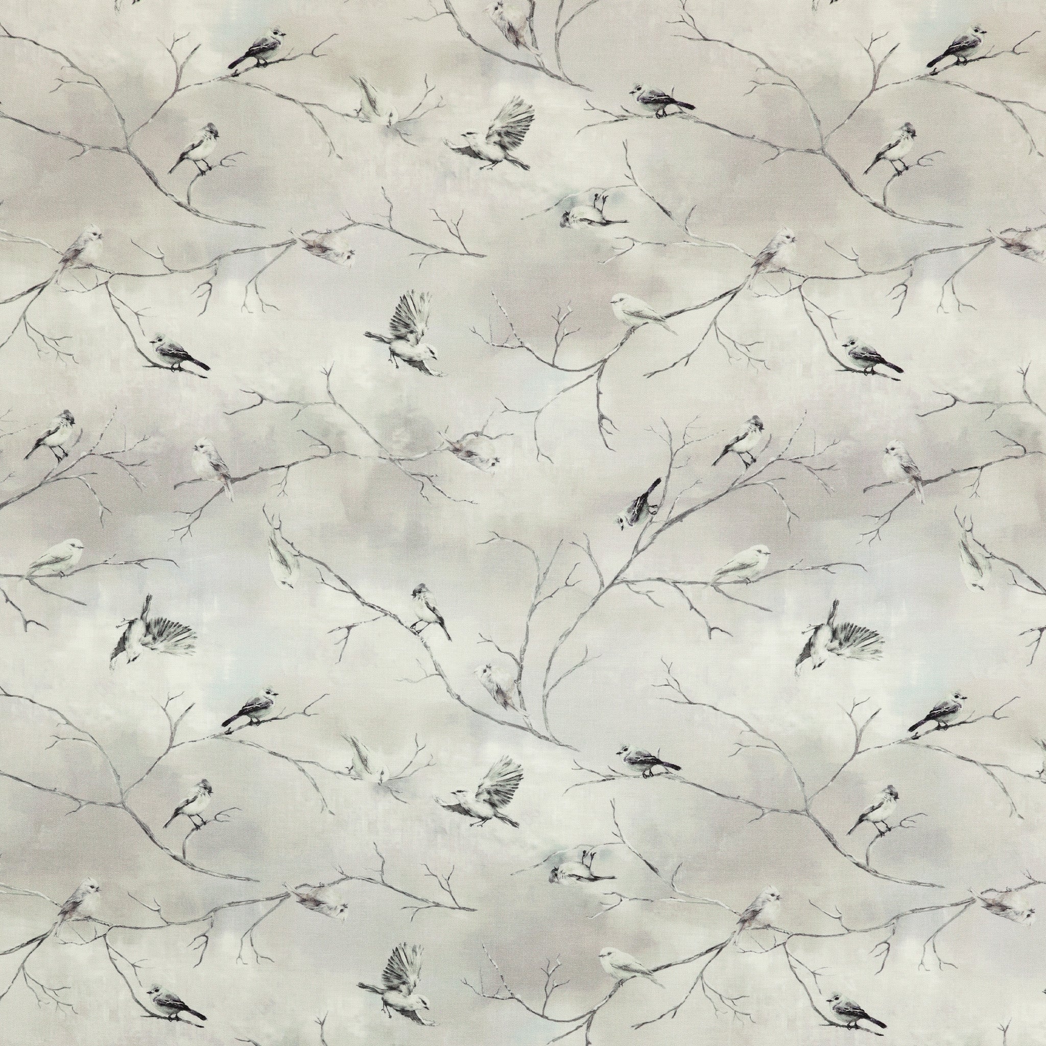 Winter Whisper Fabric Collection - Snowbirds