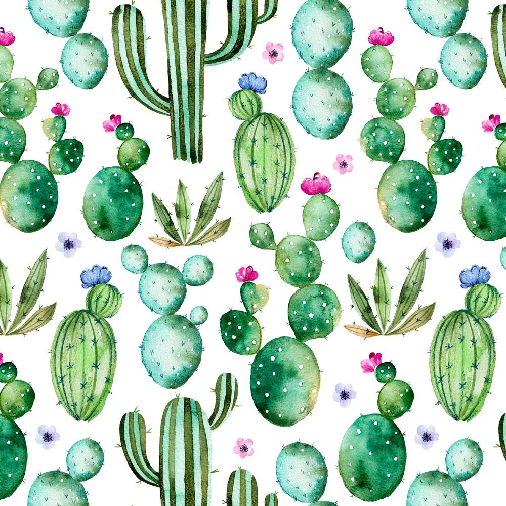 Watercolor Assorted Cacti Fabric - White