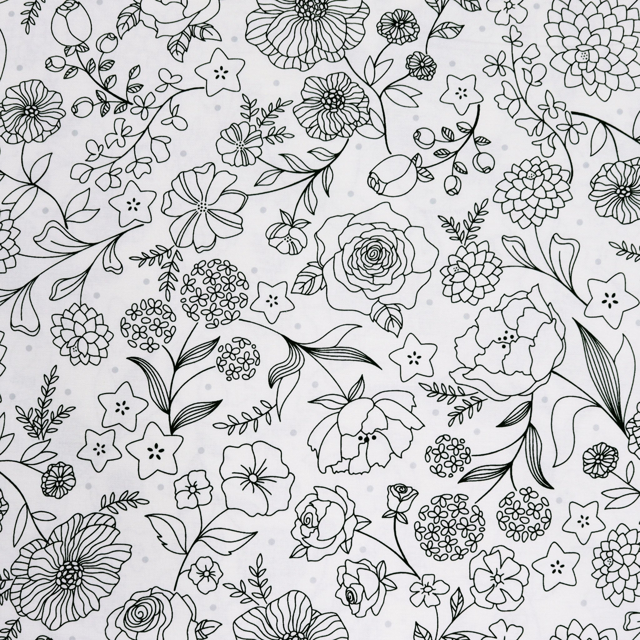 Botanica Fabric Collection - Feature Black/White