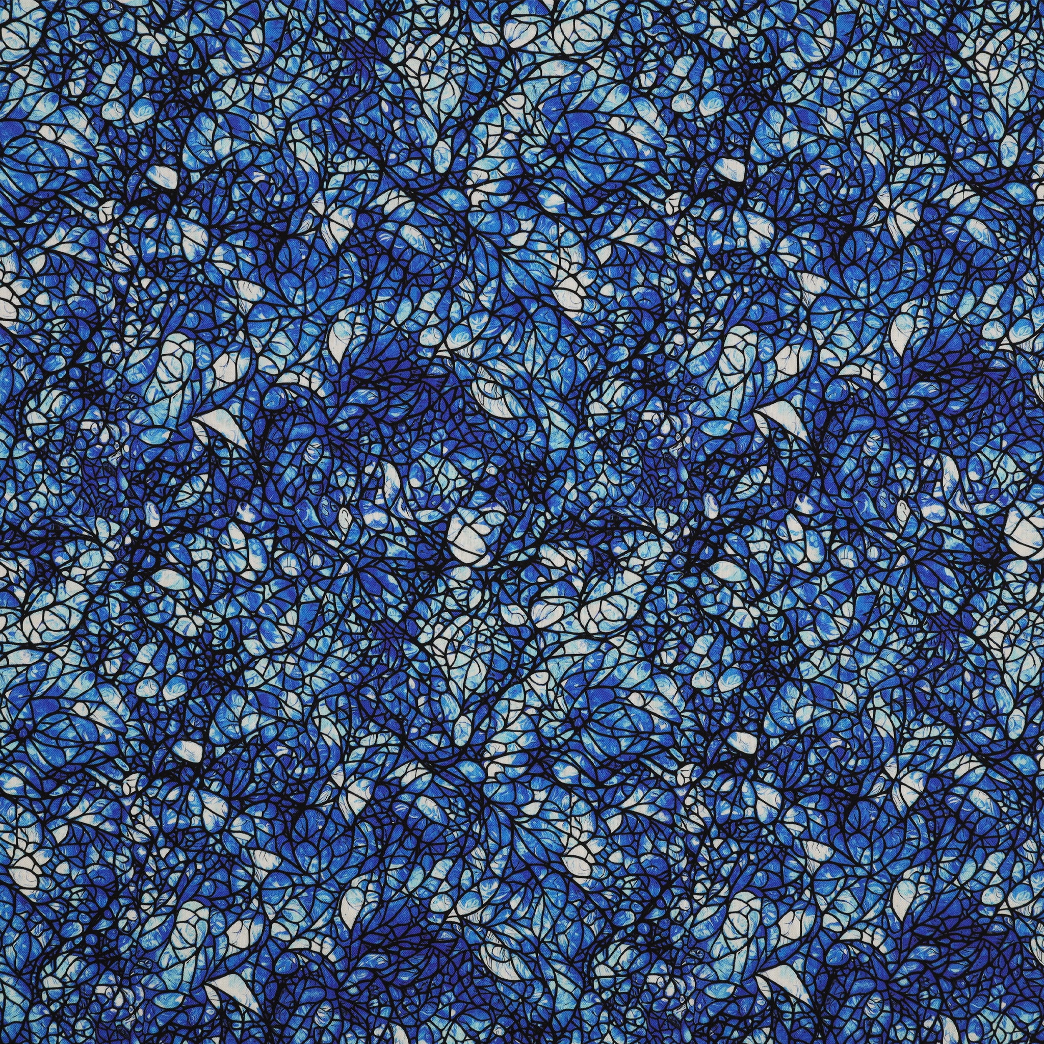 Cat Artistry Fabric Collection - Glassine Blue