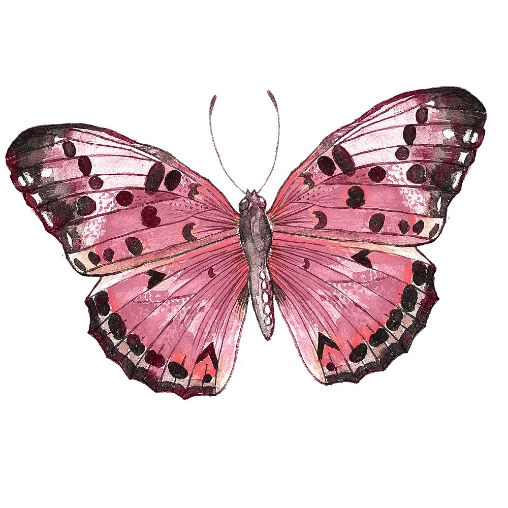 Champagne & Burgundy Butterfly Fabric Panel Variation 1