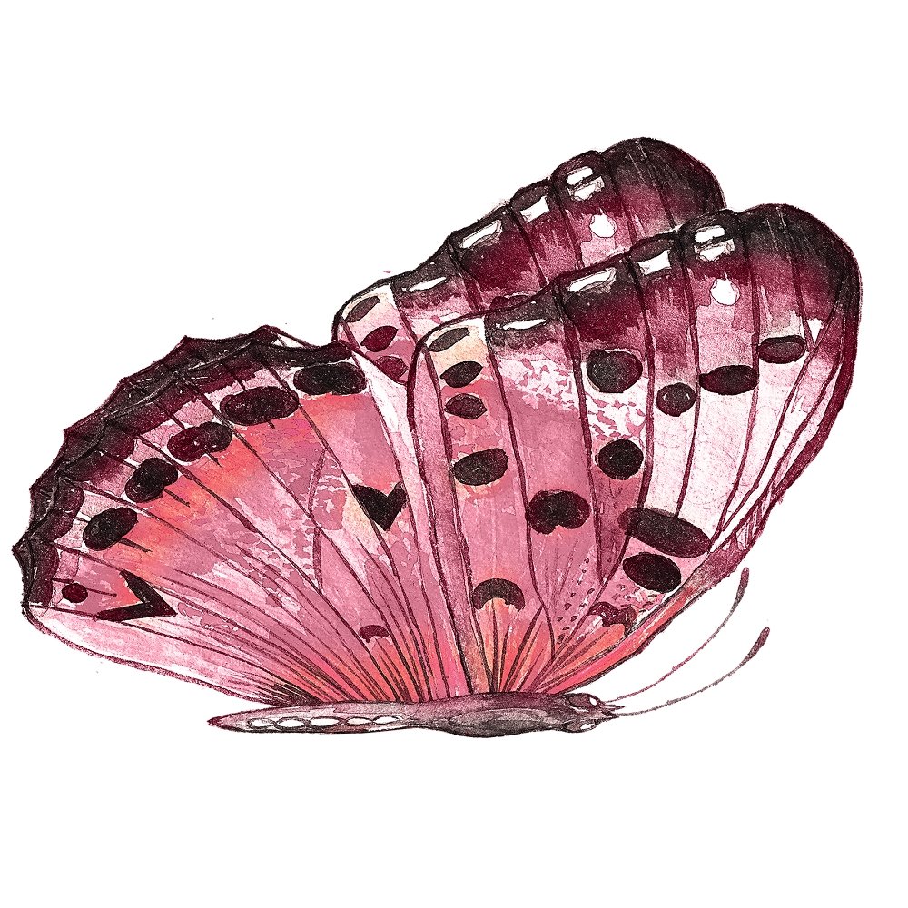 Champagne & Burgundy Butterfly Fabric Panel Variation 2